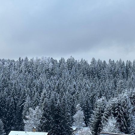 Penzion Verde Rosa Гаррахов Екстер'єр фото